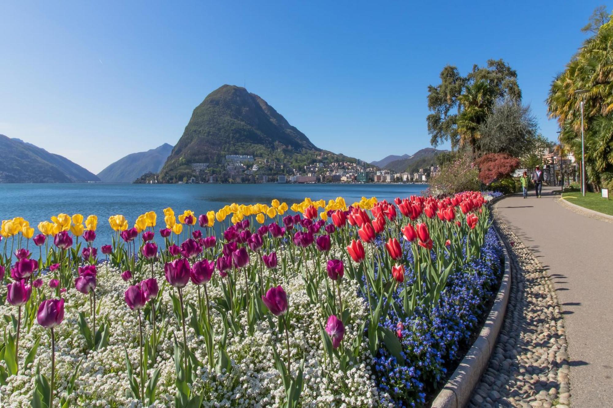 Casa Basilico - Happy Rentals Lugano Luaran gambar
